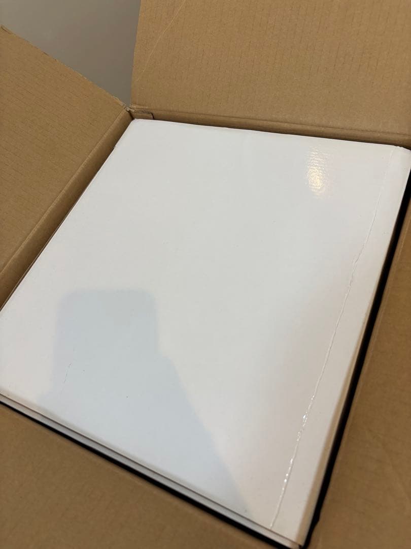新品未使用　ドウシシャ しゃべる地球儀 PG-NV15