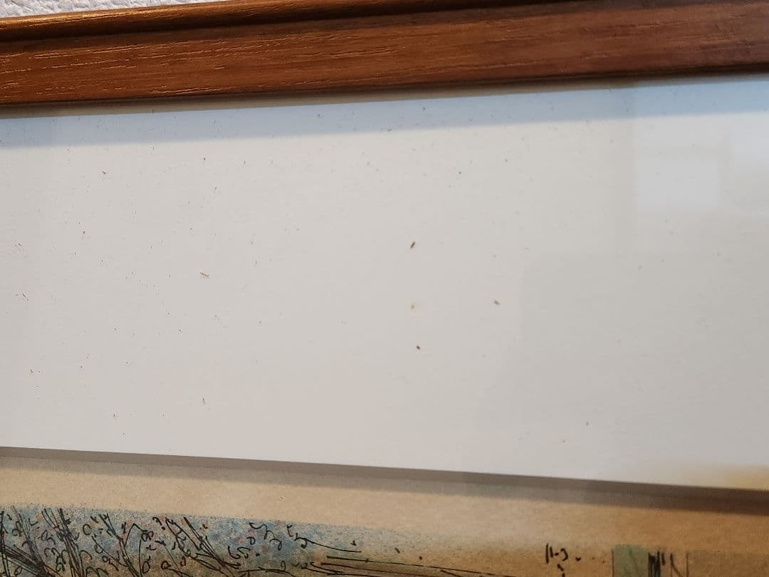 ロルフ・ラフルスキー フランス パリ セーヌ川 大判 リトグラフ　直筆サイン入り