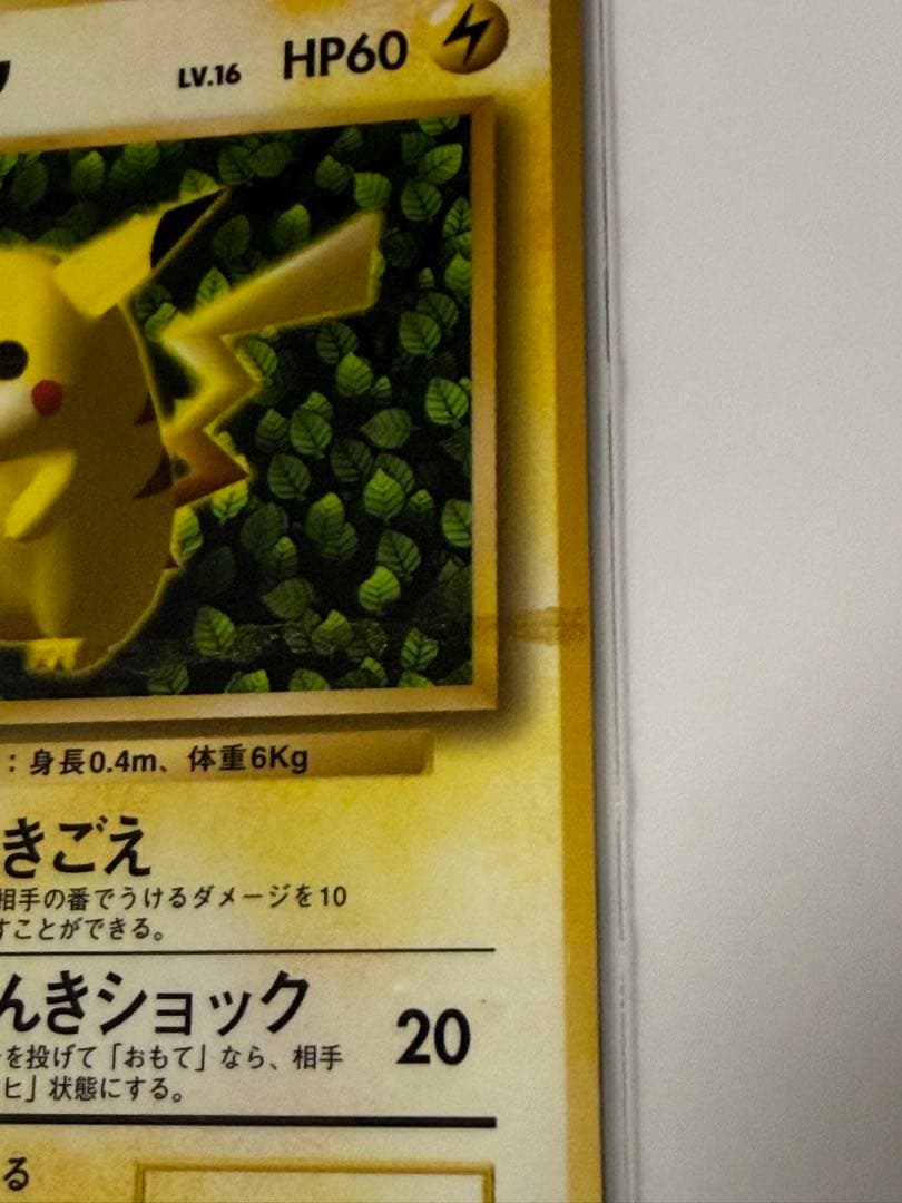 ピカチュウ 旧裏 誤表記 プロモ　ken sugimori