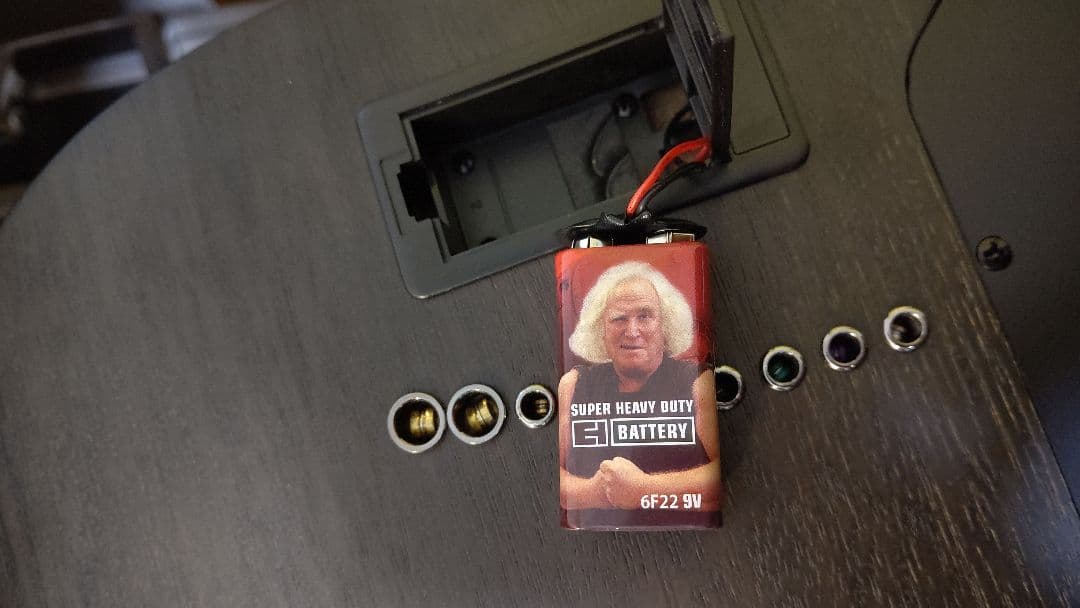 Ibanez 9弦ギター「RG9PB-TGF」