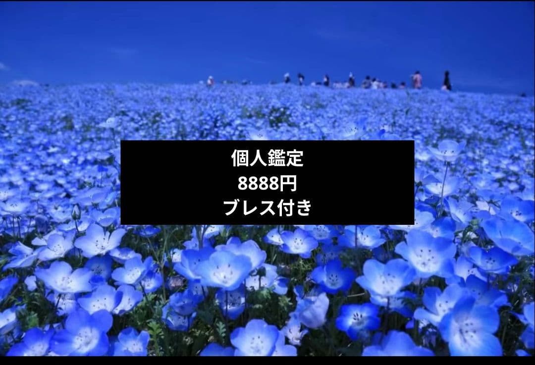 個人鑑定 ブレスレット作成8888円