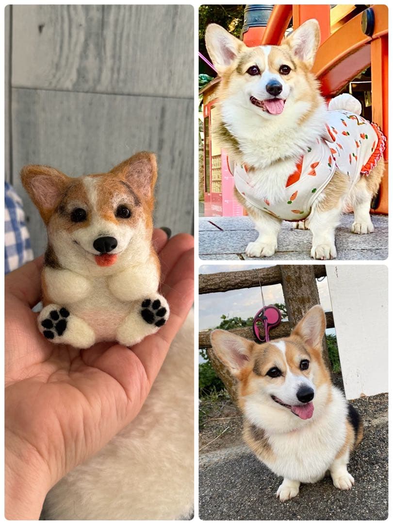 まんまるあにまるず　羊毛フェルト　ペット　マスコット　うちの子グッズ