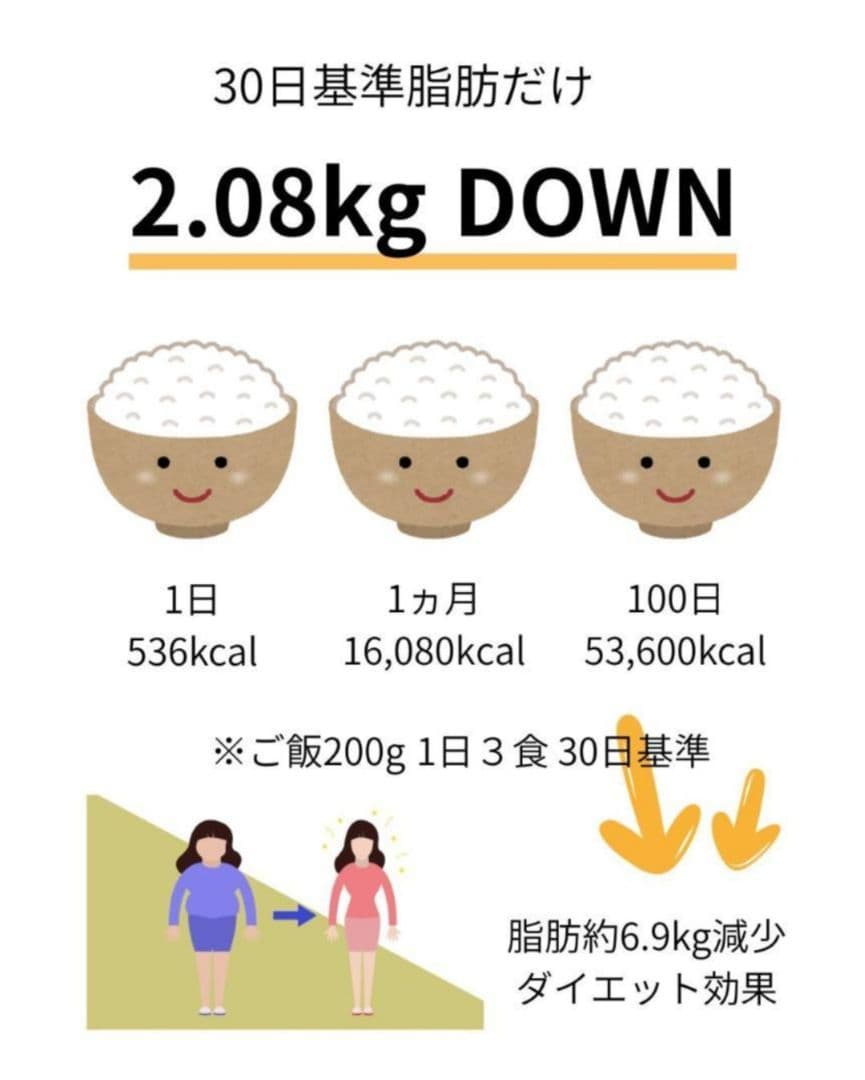韓国製 カロボール 電子レンジー用 糖質カット炊飯器 ダイエットサポート