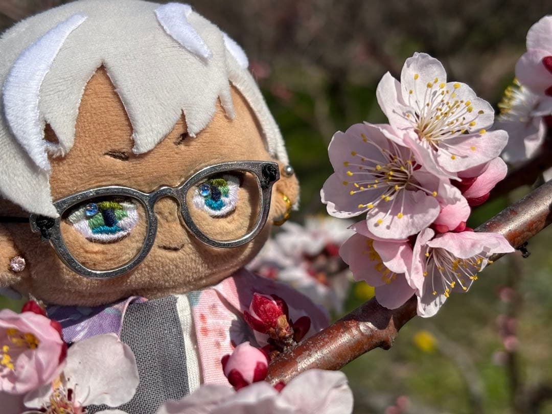 ぬいぐるみ order.80