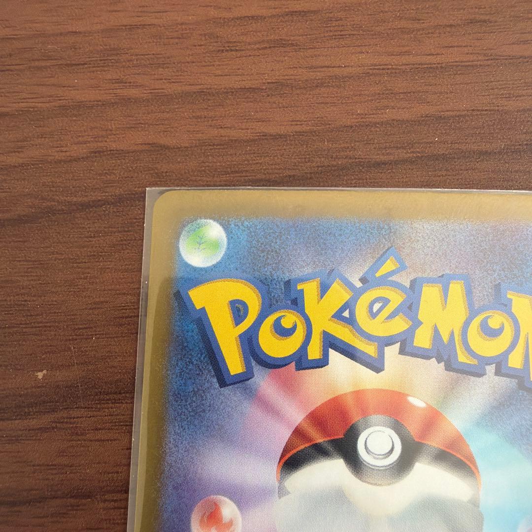 美品ブラッキーex SAR SV8a テラスタルフェスex 217/187