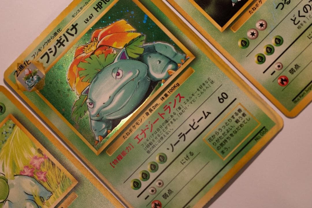 旧裏　初版　フシギダネ フシギソウ フシギバナ 　マーク無しセット