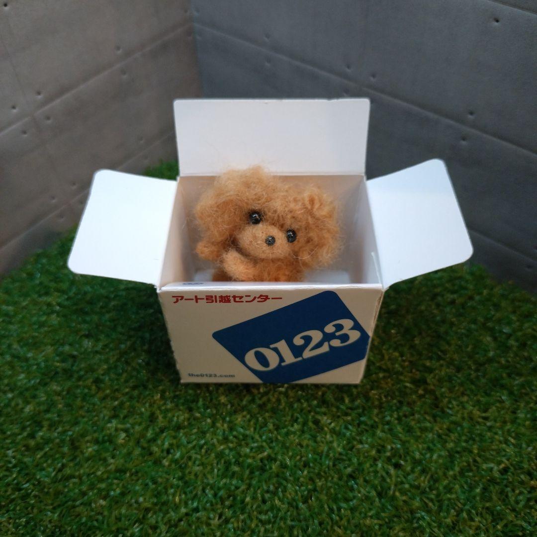 羊毛フェルト トイプードル「箱入り小さなプードルちゃん」