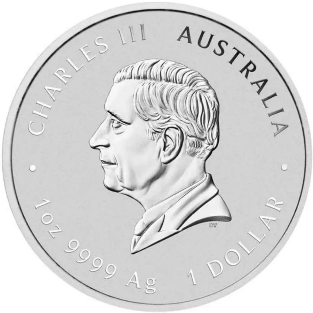 オーストラリア2025年 巳干支1oz記念銀貨 未使用品！②