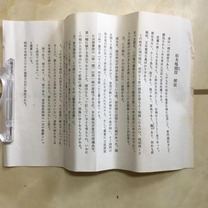 Y 中古 宮本武蔵 掛け軸 枯木鳴鵙 こぼくめいげき 鳥 骨董品 古美術 S