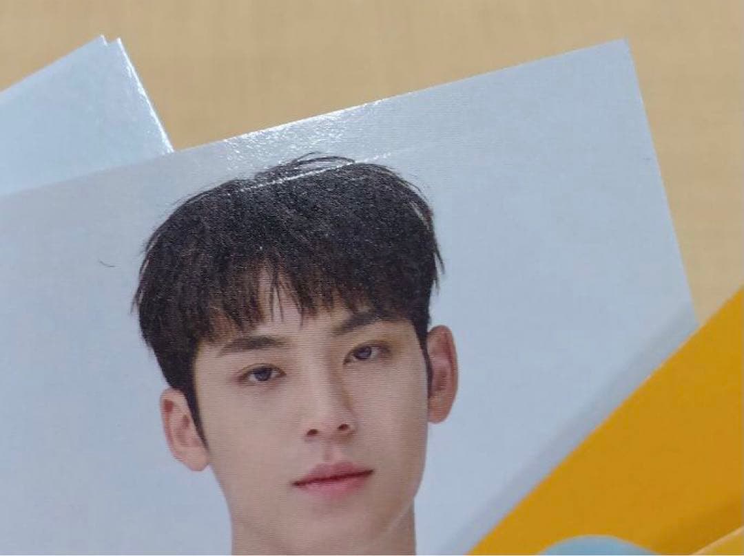 ❶SEVENTEEN CARAT LAND 2021 トレカ 69枚 まとめ売り