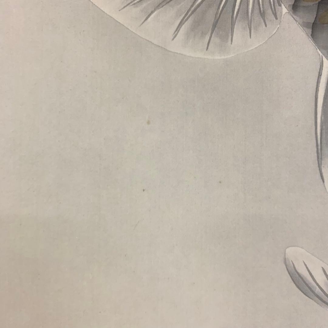 掛軸 鯉 共箱