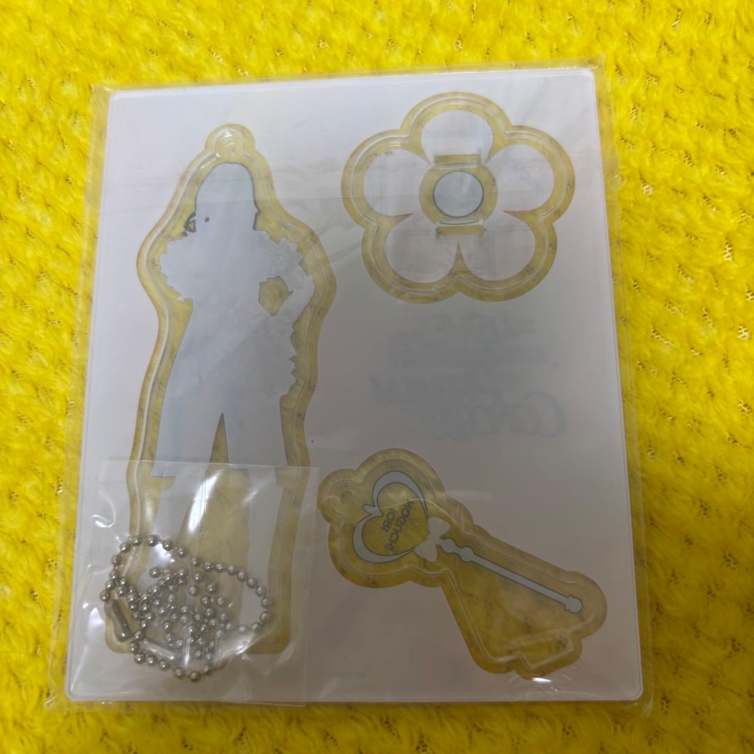 【匿名発送】野口衣織 絶対アイドル辞めないで アクスタ【中古】