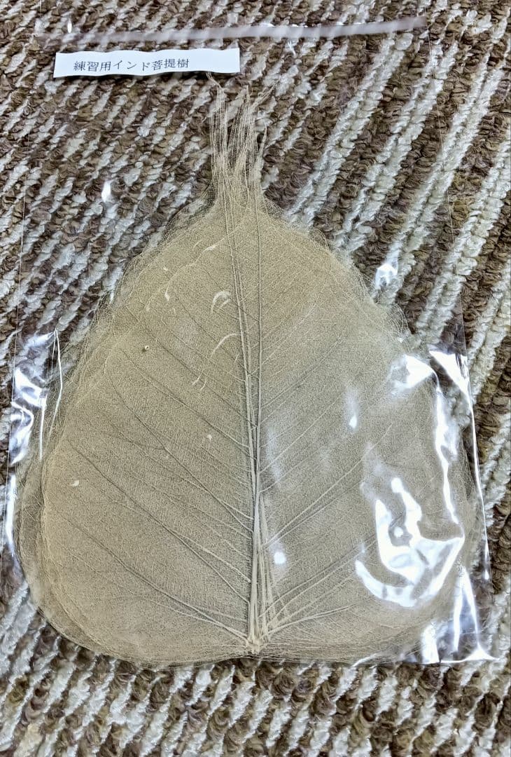 ボタニーペインティングのセット※おまけパネル追加