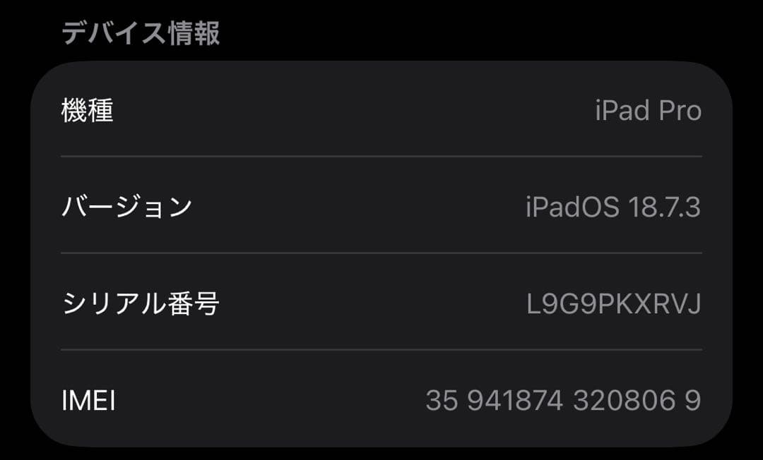 カ*ン様 iPadPro 256GB第5世代Cellular MagicKeyb