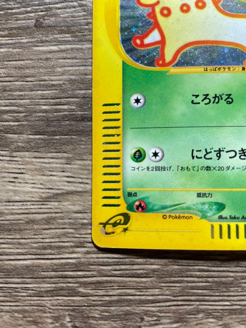 ト*ー様 ひかるミュウ+ 旧裏引退。劇場版ミュウ、eチコリータ、ダグドリオ、ニャ