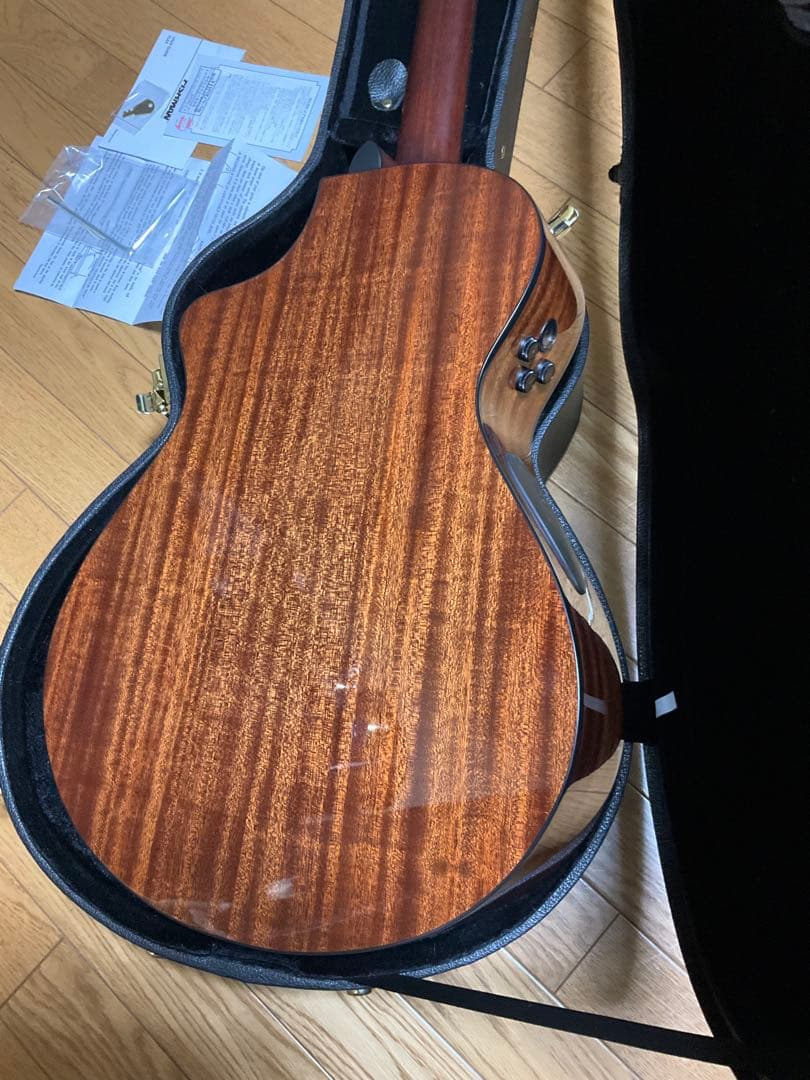 Breedlove Solo Pro Concert CE エレガット