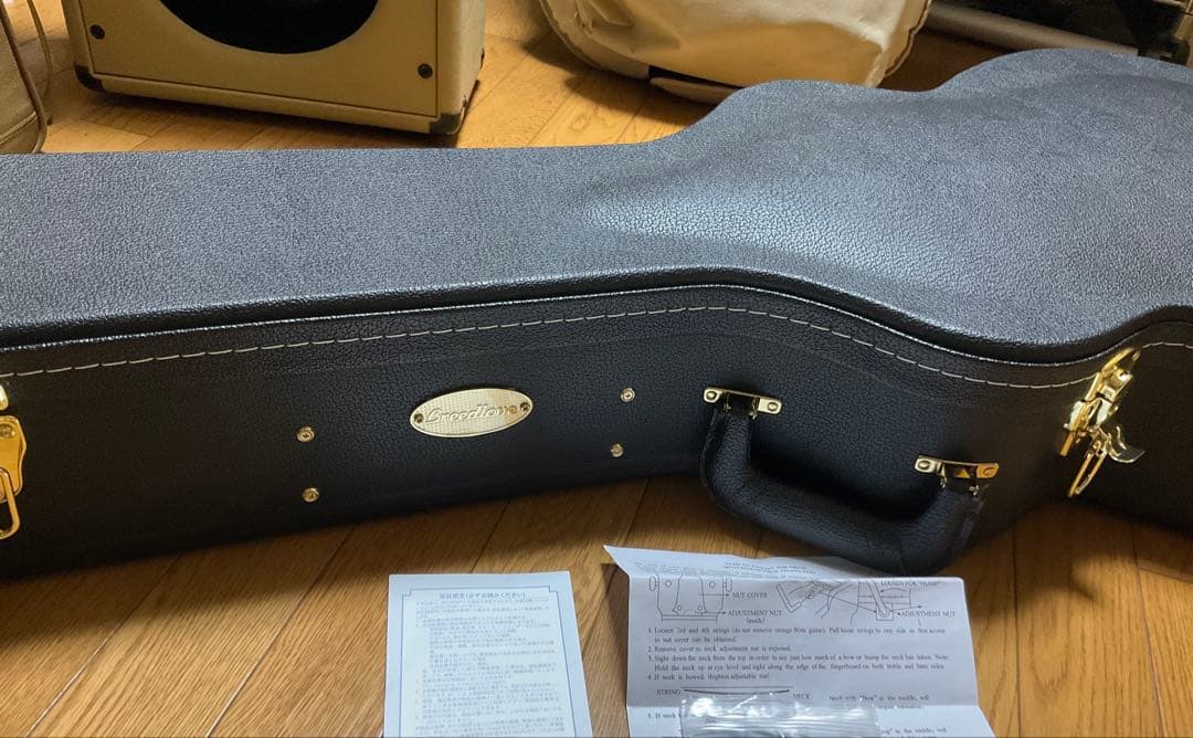 Breedlove Solo Pro Concert CE エレガット