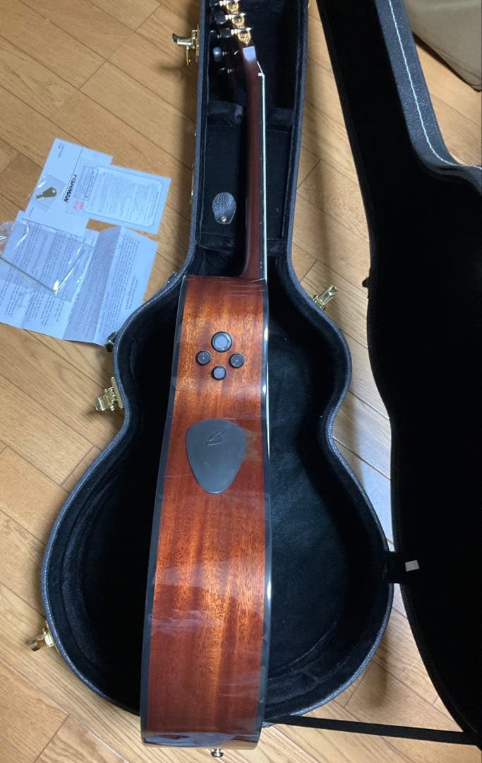 Breedlove Solo Pro Concert CE エレガット