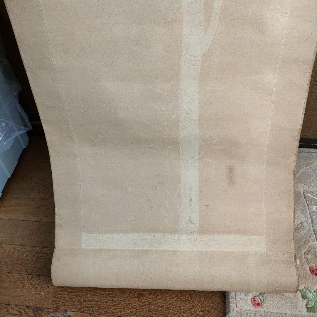 【週末特価】掛け軸　花　鳥　日本画　花鳥　絵の部分綺麗な状態です　印有り