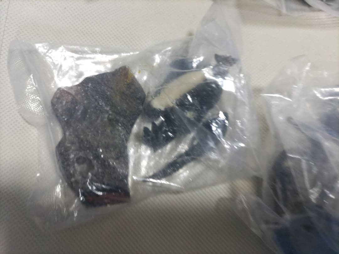 ゴジラ 名鑑　管理2