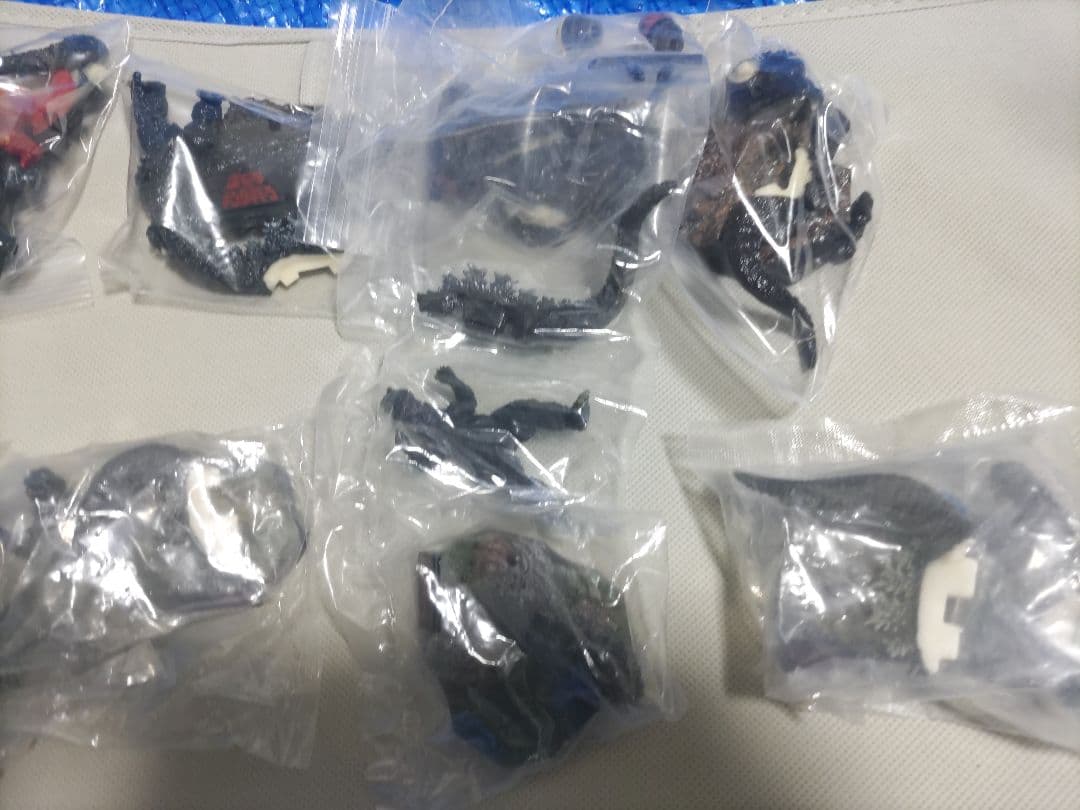 ゴジラ 名鑑　管理2