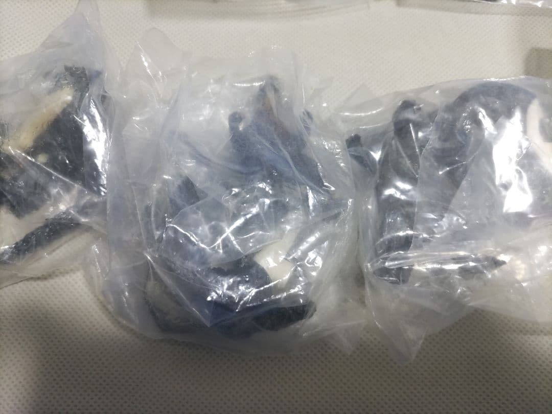 ゴジラ 名鑑　管理2