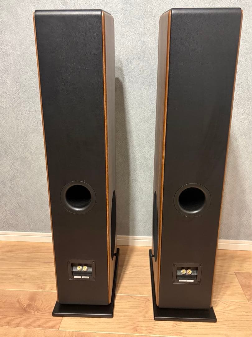 audio pro AVANTO FS-20/オーディオプロ　トールボーイ
