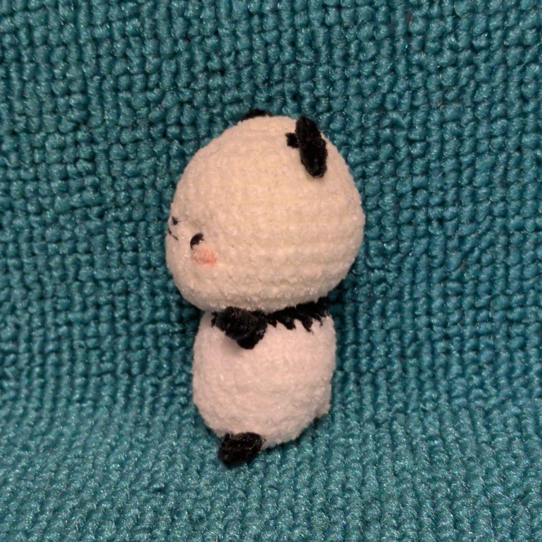 パンダさんがこんにちは(。・ω・)ノ゛