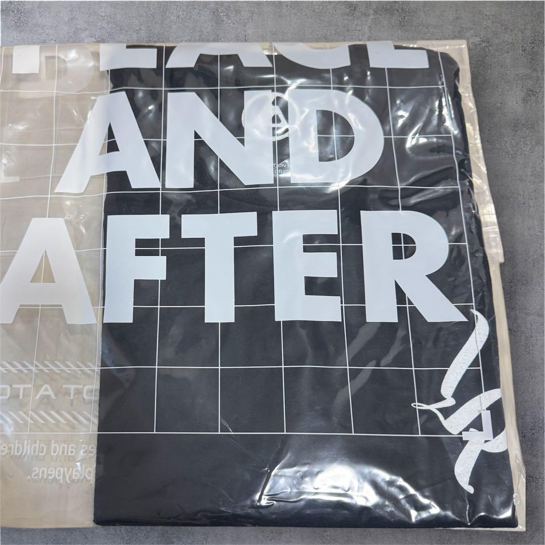 LINKIN PARK x USUGROW T-SHIRT 2025 Lサイズ