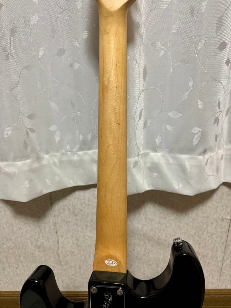 新品弦2セット付き！Rayfield ストラトキャスター タイプ エレキギター