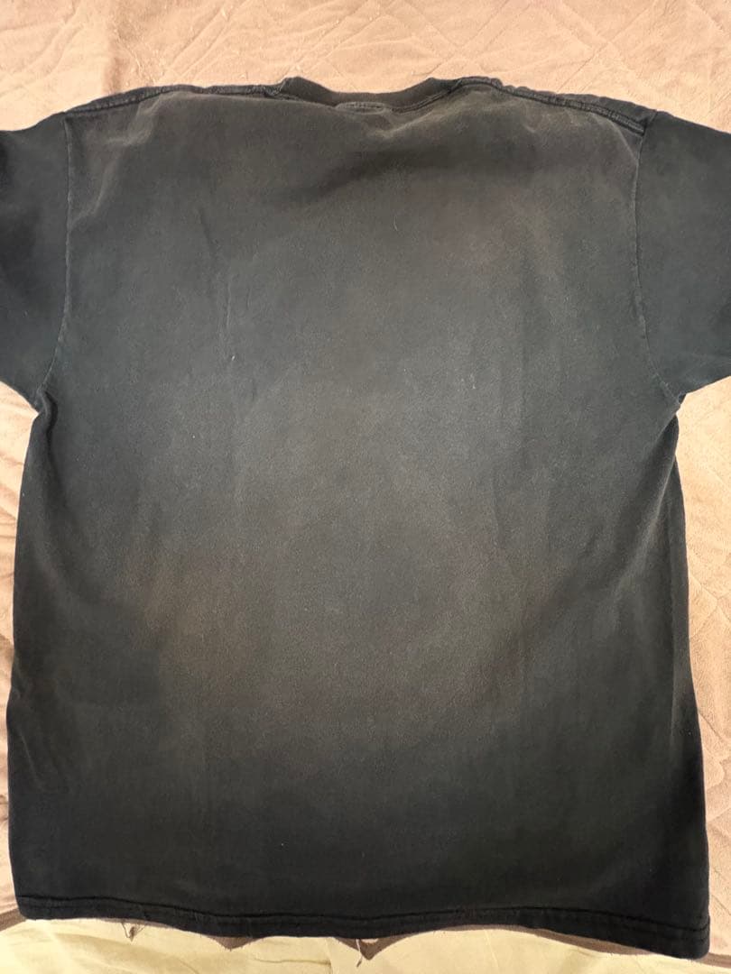 超レアXL！BOB DYLAN&ALLEN GINSBERGヴィンテージTシャツ