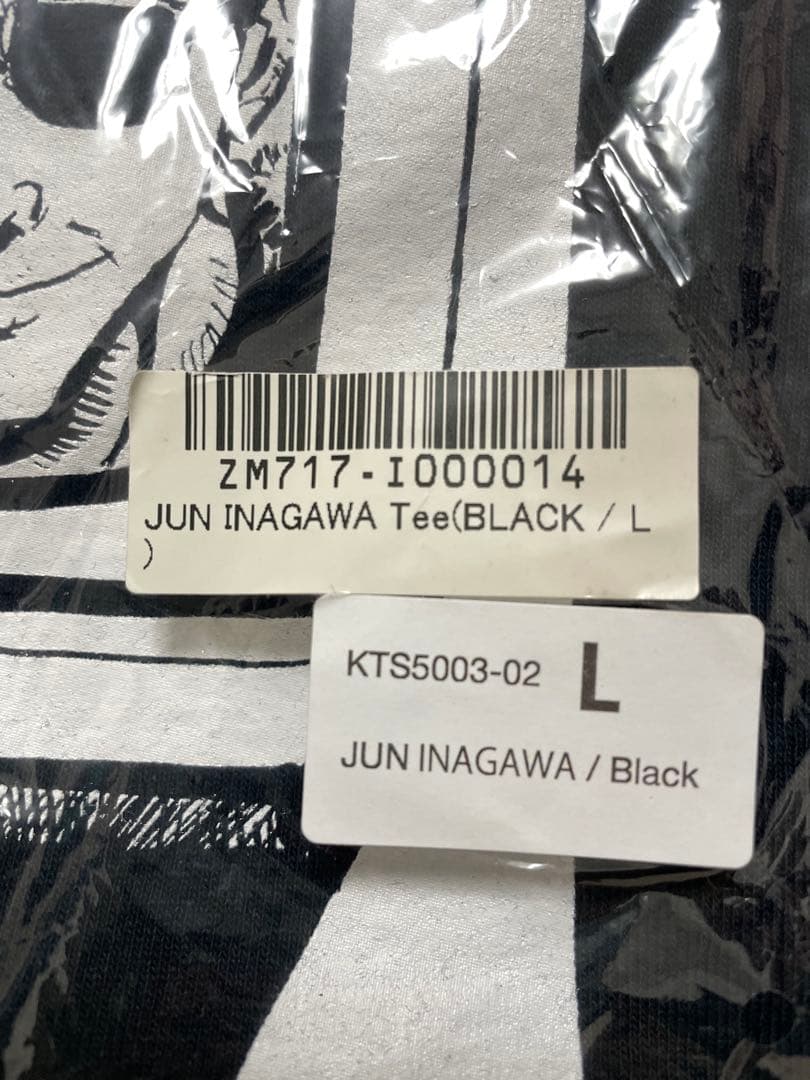 JUN INAGAWA 野村訓一