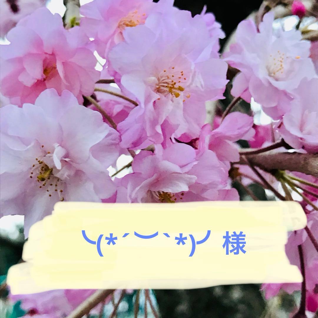 ╰(*´︶`*)╯様 リクエスト