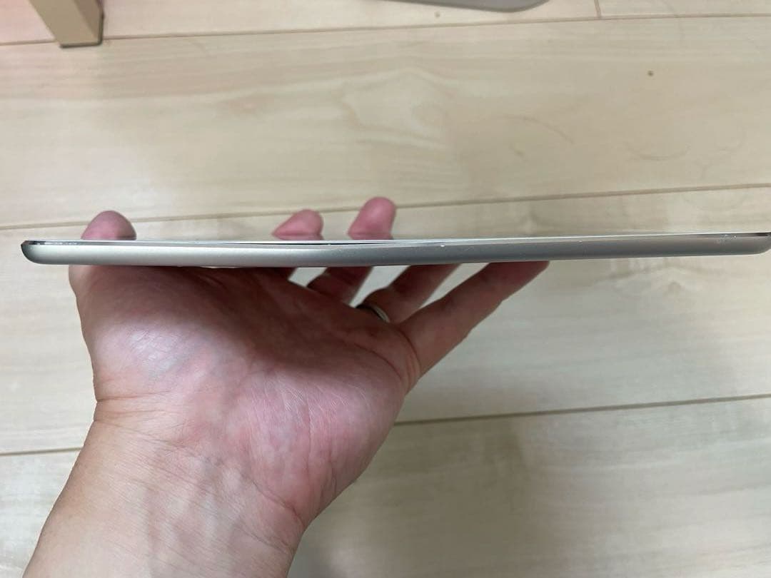 【ジャンク】　iPad mini4 セルラー 64GB