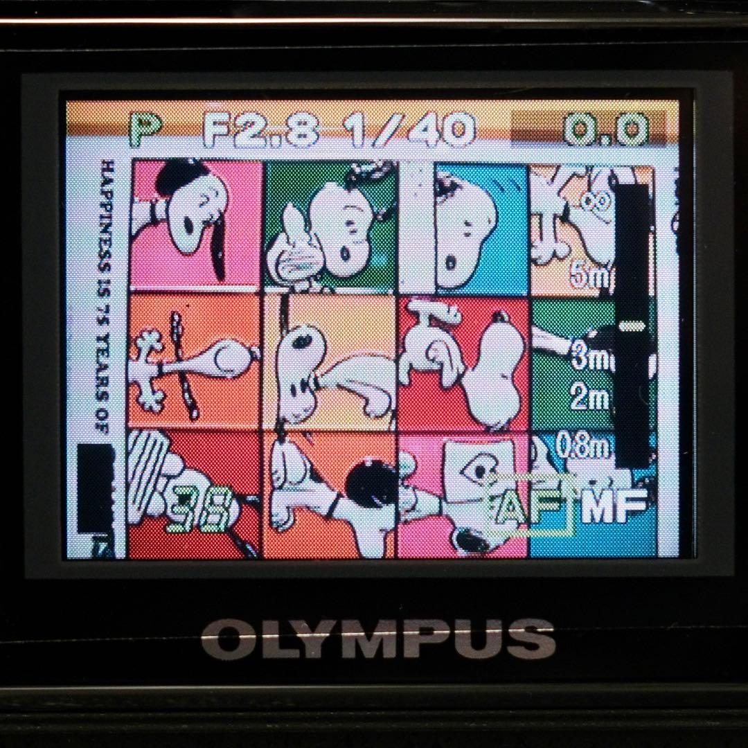 極美品 箱付き 平成レトロ Y2K OLYMPUS C-3030 ZOOM