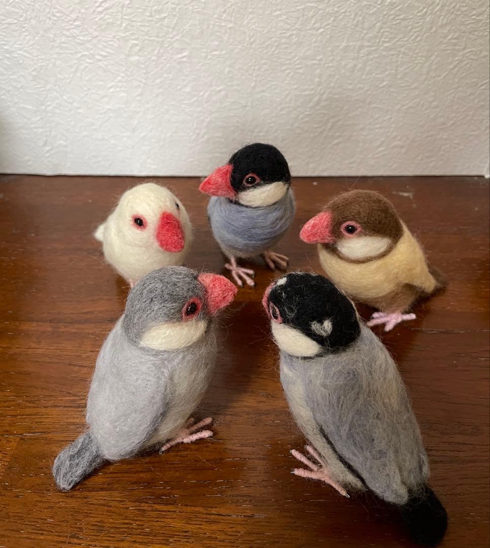 小さな文鳥たち