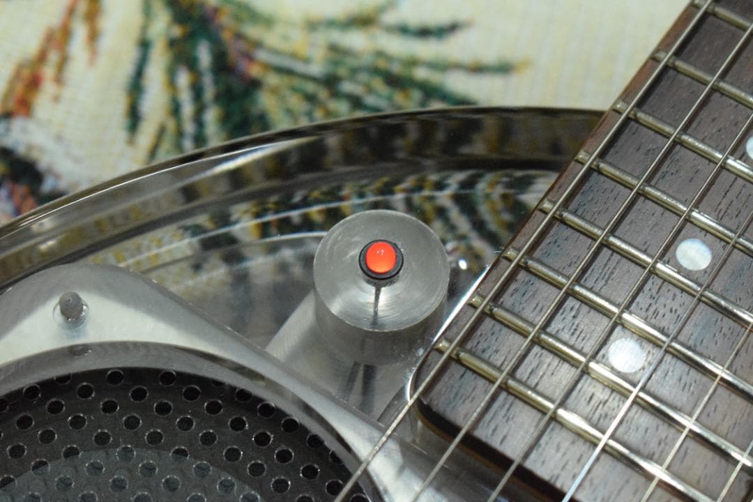 Fernandes ZO-3 スケルトン 動作良好 ケース付