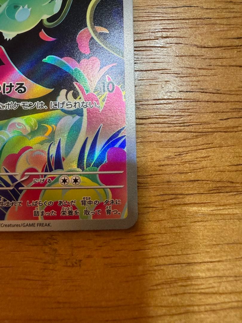 【美品】メガフシギバナex SAR 進化ライン