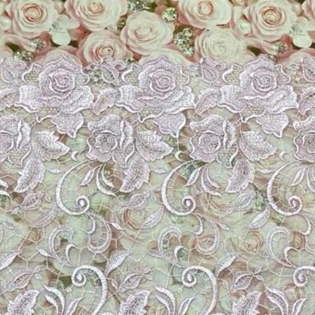 [ちびくろ様確認用①]