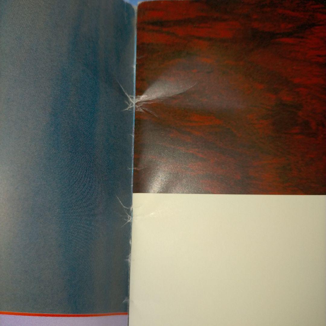 MALICE MIZER Gardenia パンフレット