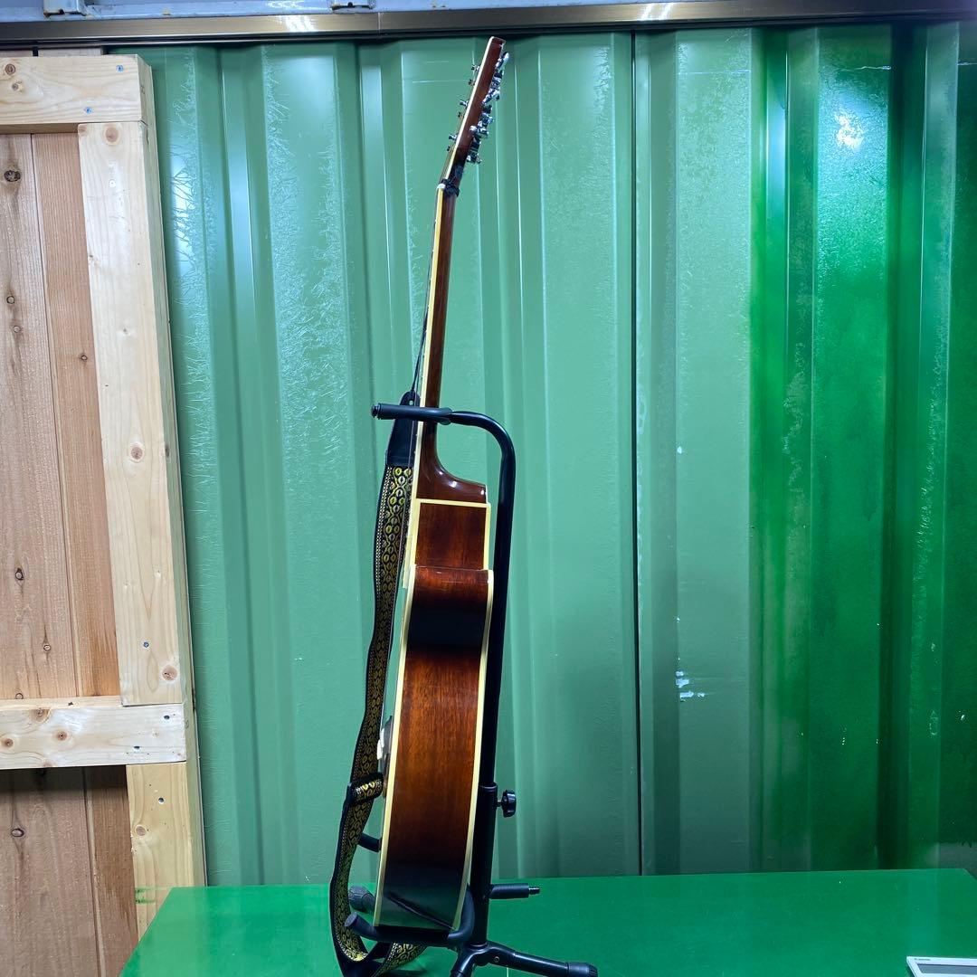 【現状品】Pro Martin EA500W VS アコースティックギター