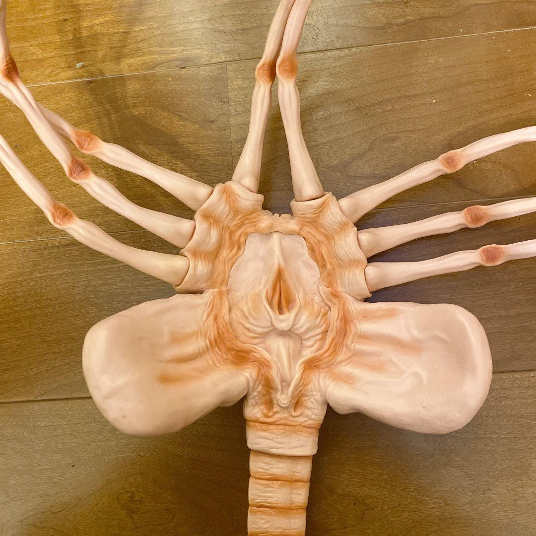 【訳アリ】フェイスハガー 1/1 プロップレプリカ エイリアン Alien 映画