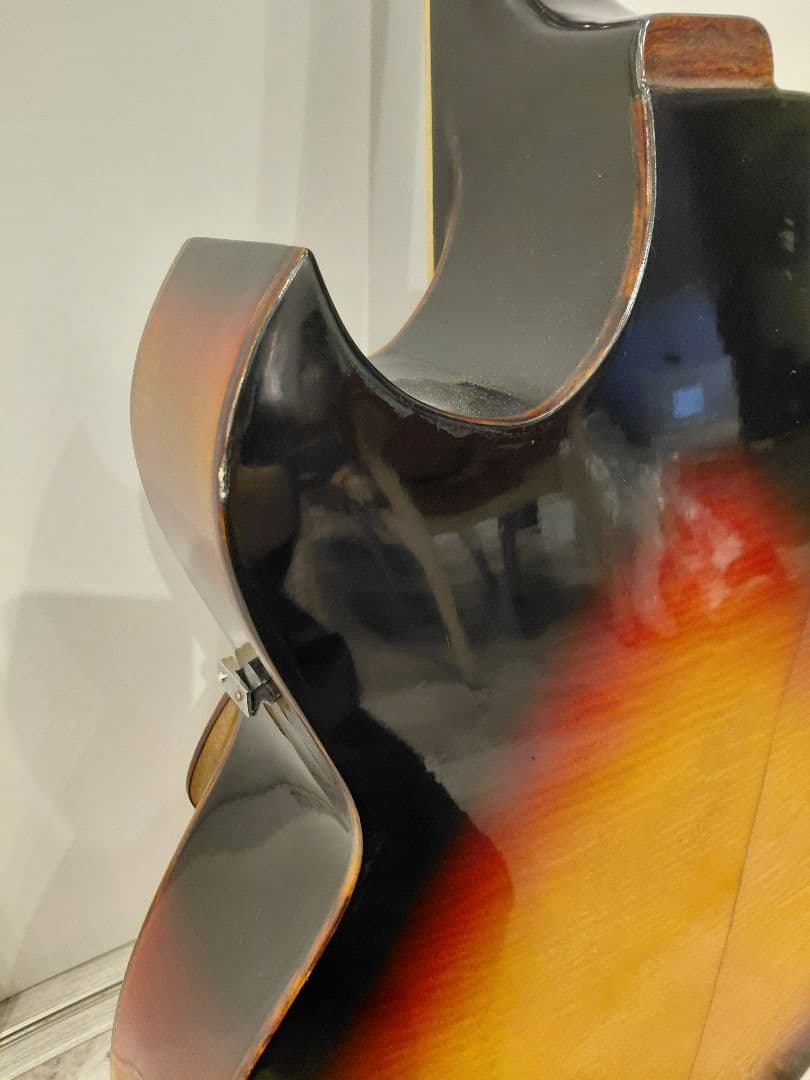 Nardan No.100 アーチトップ ナルダン ピックギター