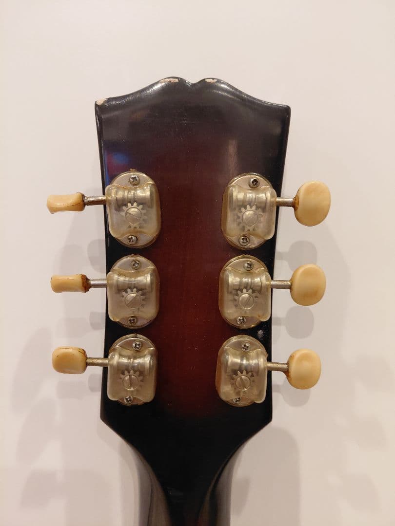 Nardan No.100 アーチトップ ナルダン ピックギター