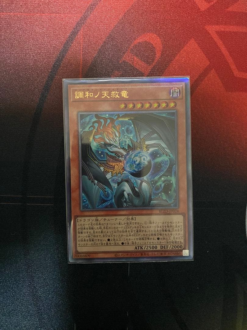 調和ノ天救竜　フィドラリウスハルモニア　レリーフ