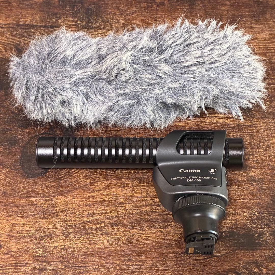 【お年玉価格！】Canon iVIS HF G20　動作確認済　付属品多数