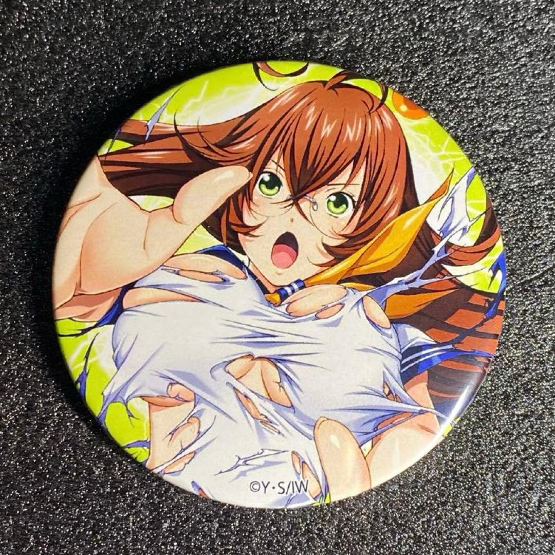 未使用 全種セット 記念品 P真・一騎当千 オリジナル缶バッジ パチンコ 6個