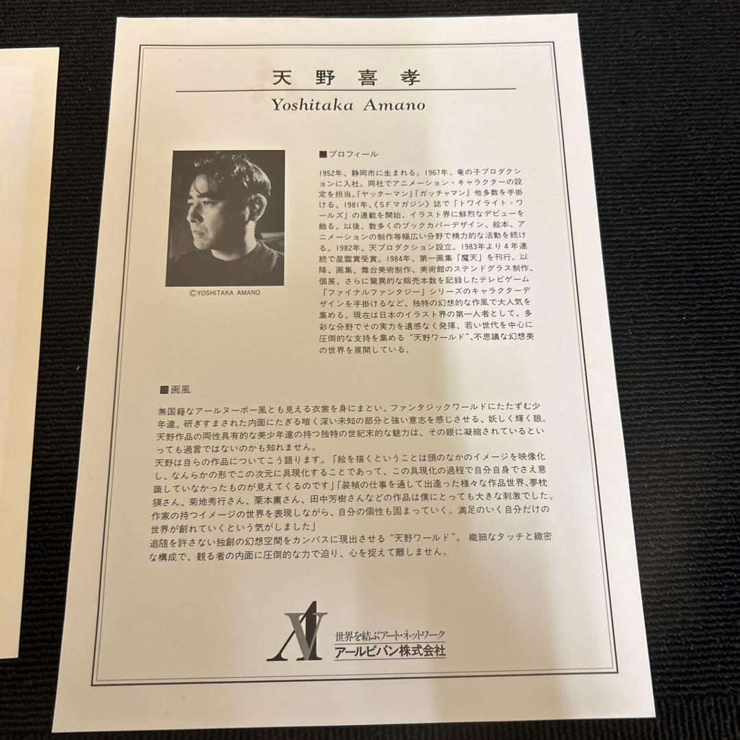 天野喜孝　メイ　ストーム　リトグラフ　保証書付