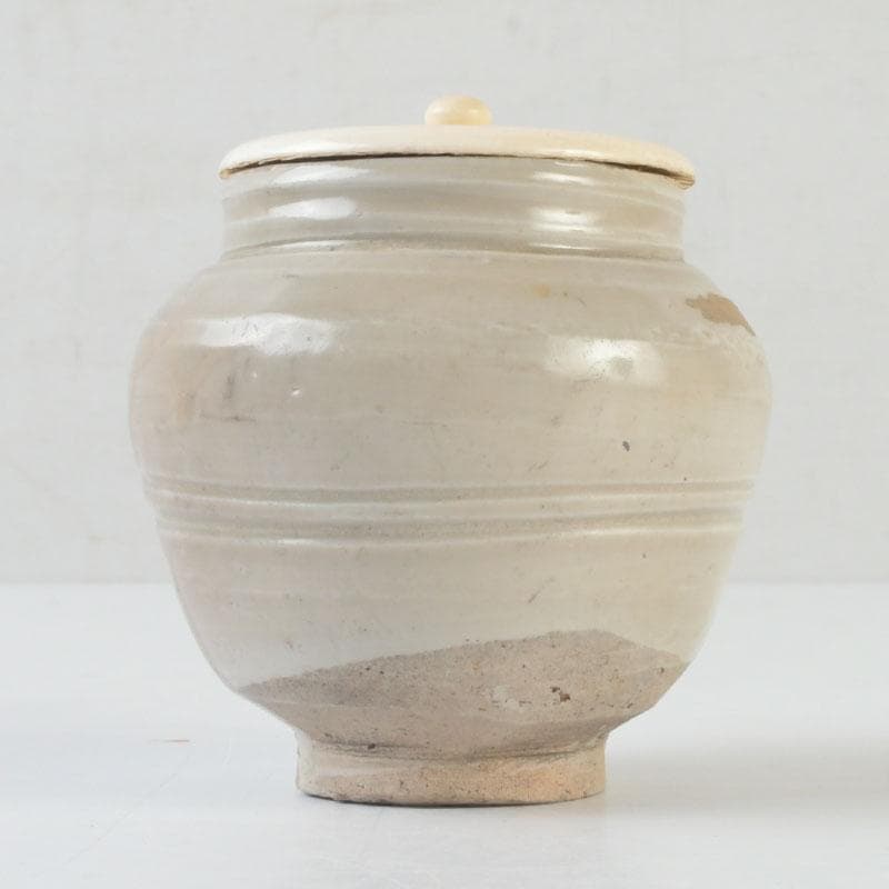 茶道具　志野焼　茶入　時代箱　V　9955